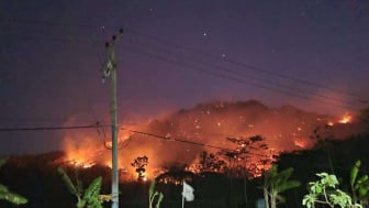 Darurat! Kabupaten Ponorogo Dikepung Kebakaran Hutan di 4 Titik