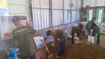 Sekolah di Ponorogo Mengubah Limbah Kotoran Sapi yang Biasanya Dibuang ke Sungai Menjadi Pupuk