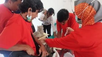 Perkumpulan Dokter Hewan Gelar Vaksinasi Gratis di Ponorogo sebagai Upaya Pencegahan Penyakit Rabies