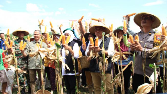 Khofifah: Jagung varietes Reog 234 milik Ponorogo Harus Segera Dipatenkan