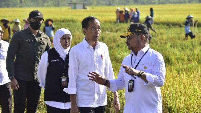 Tanam Padi Bersama Presiden Jokowi: Gubernur Khofifah Menargetkan Produksi Panen Terbaik