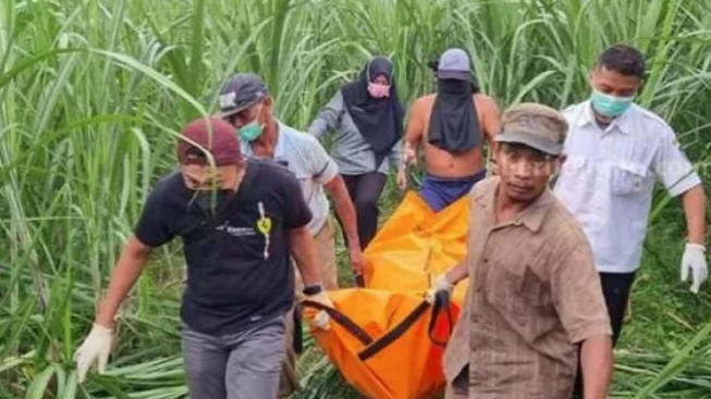 Terungkap! Tragedi Pembunuhan Sadis di Kebun Tebu di Kediri, Suami Habisi Nyawa Istri dan Bayinya dengan Cara Mengerikan