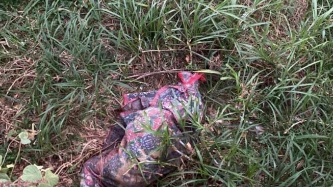 Misteri Karpet Pembungkus Jenazah di Ngawi: Apakah Jejak Dugaan Pembunuhan Mengarah ke Ponorogo?