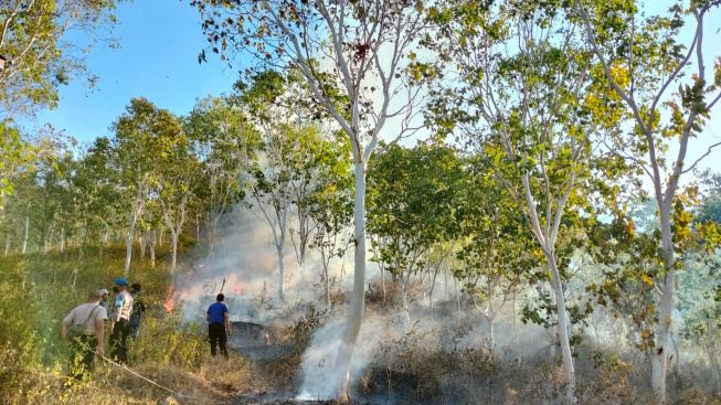 Kebakaran Hutan Lindung Ponorogo Mencemaskan: Petugas Kesulitan Pemadaman