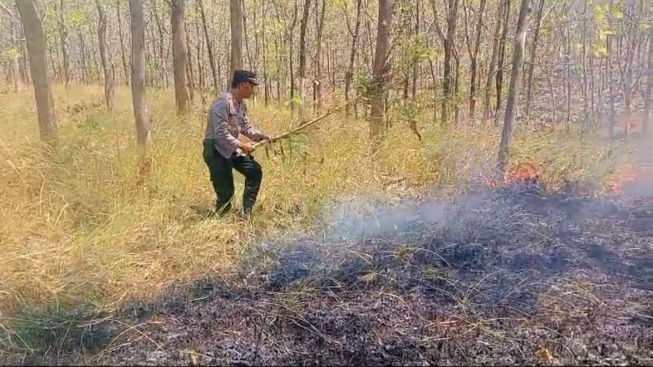 Breaking News: Hutan Lindung di Kecamatan Sokoo, Ponorogo Terbakar