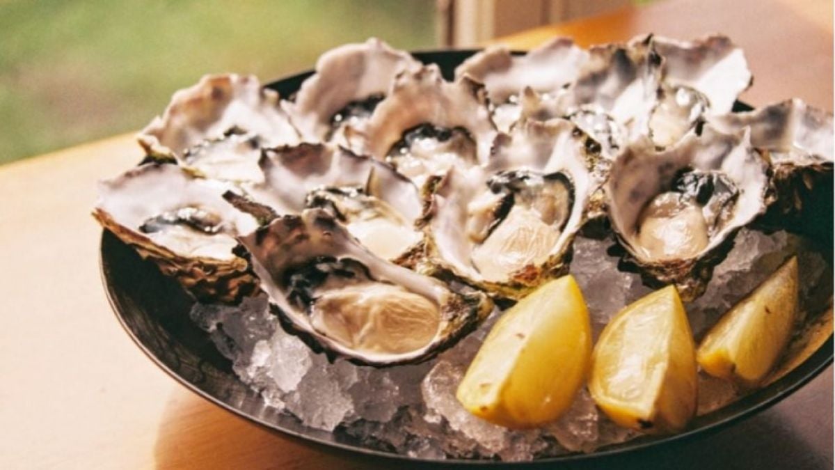 Ilustrasi Oyster atau Tiram. (Unsplash)
