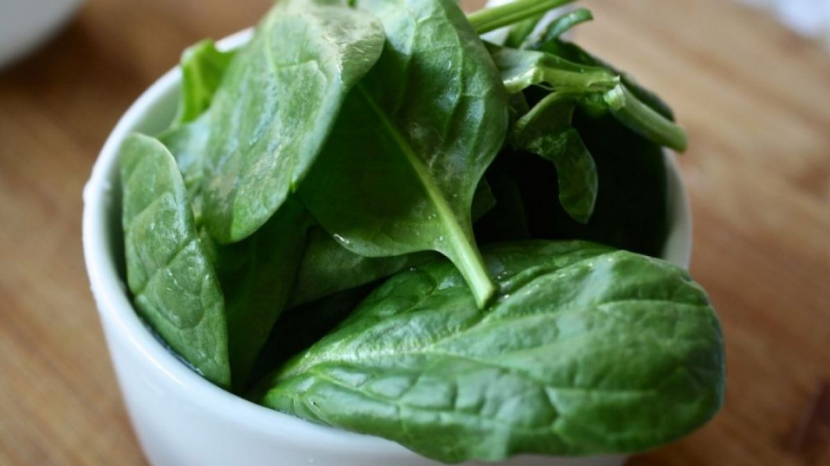 Ilustrasi daun bayam [suara.com]