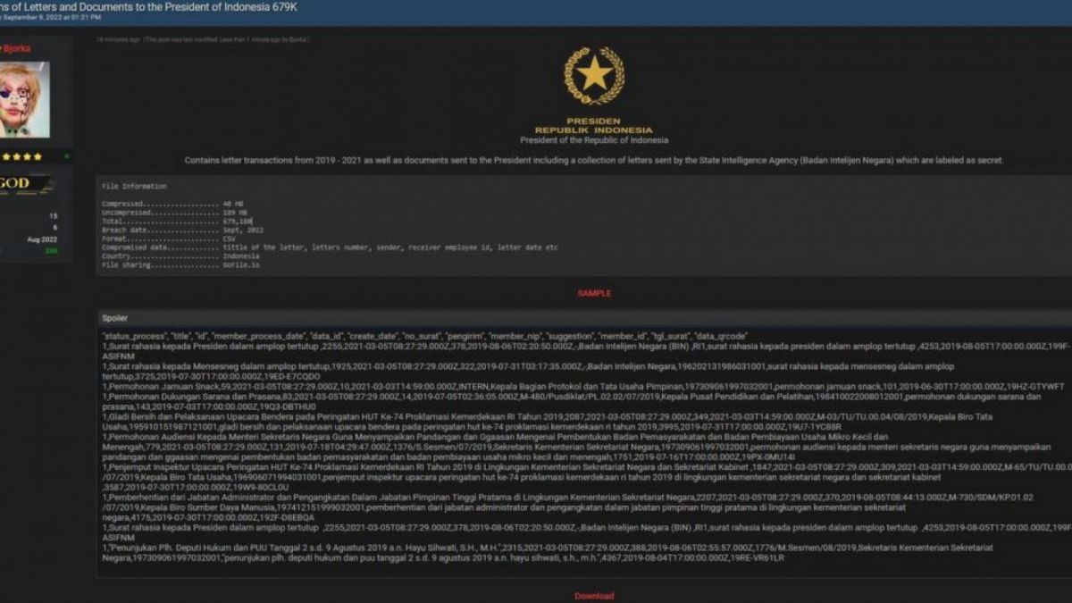 unggahan klaim hasil peretasan hacker Bjorka berisi dokumen presiden hingga BIN [Instagram/ txtdrpemerintah]