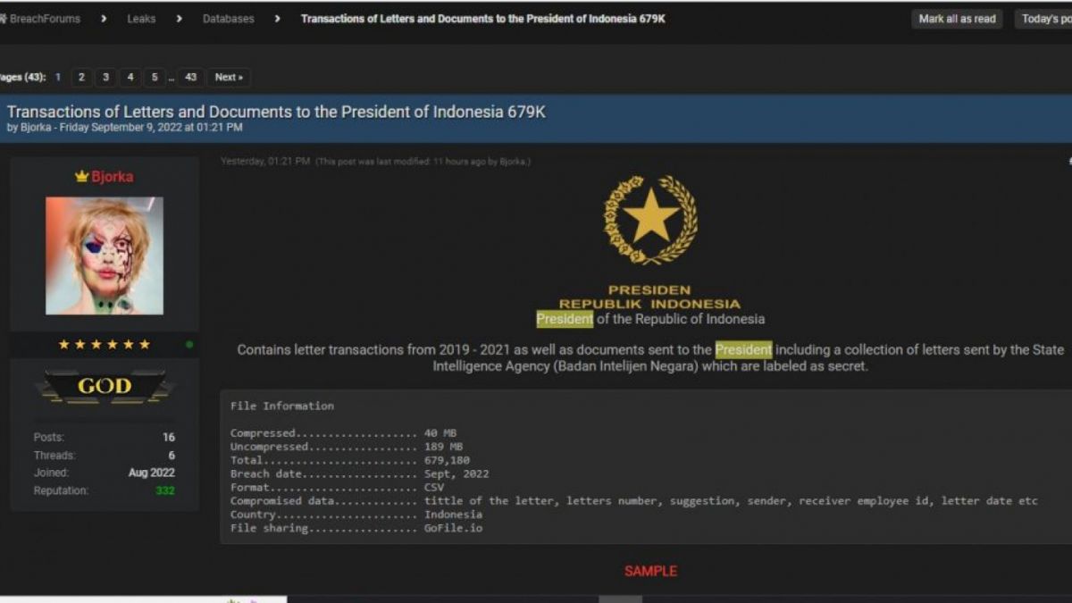 Tangkapan layar diduga dokumen rahasia Presiden Jokowi yang diretas Bjorka [Bidikan layar breached.to]