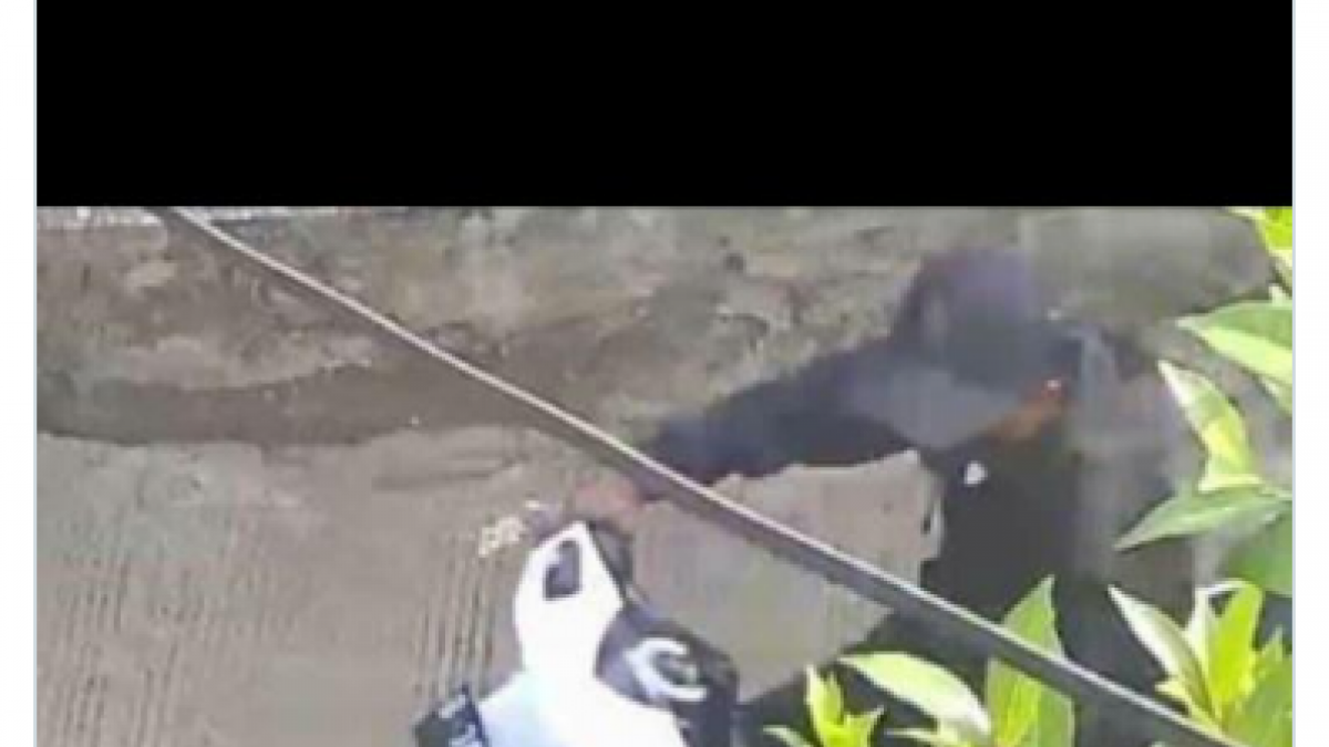 pelaku [twitter @flavchoco]