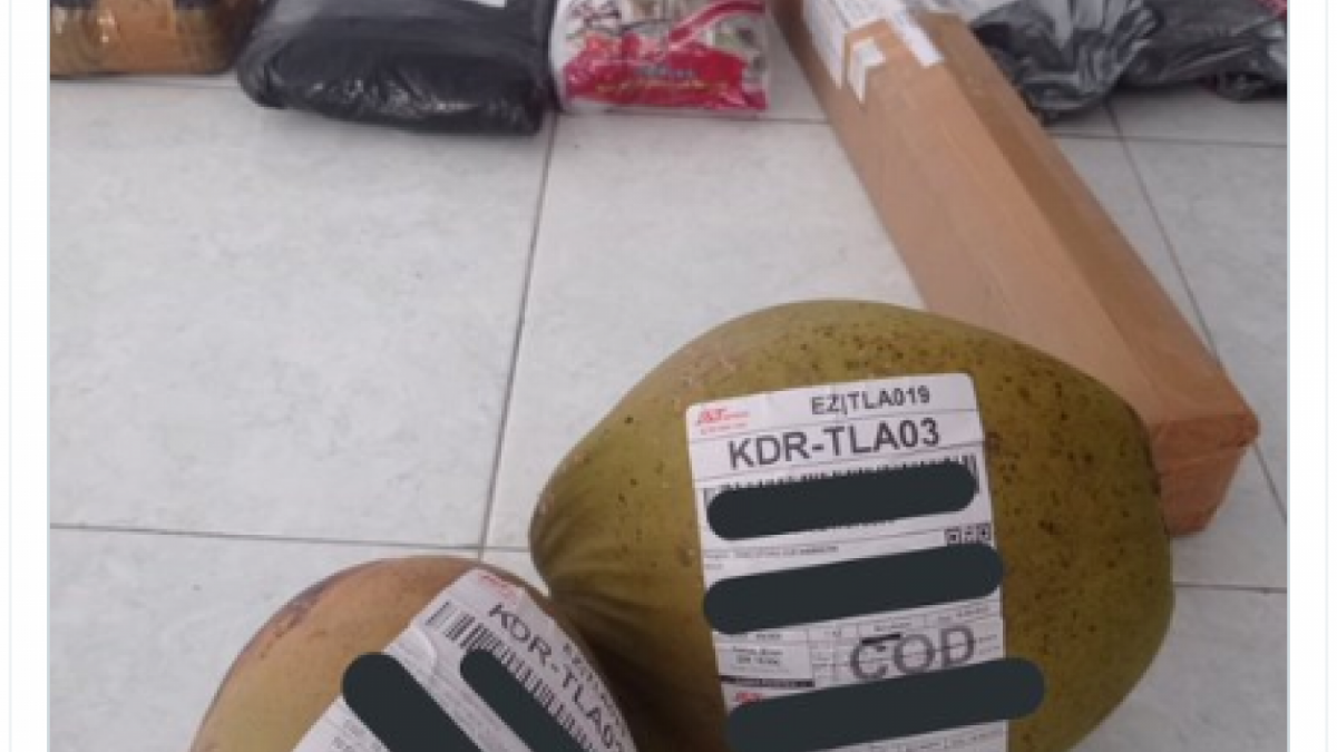 kelapa [twitter @txtdrikurir]