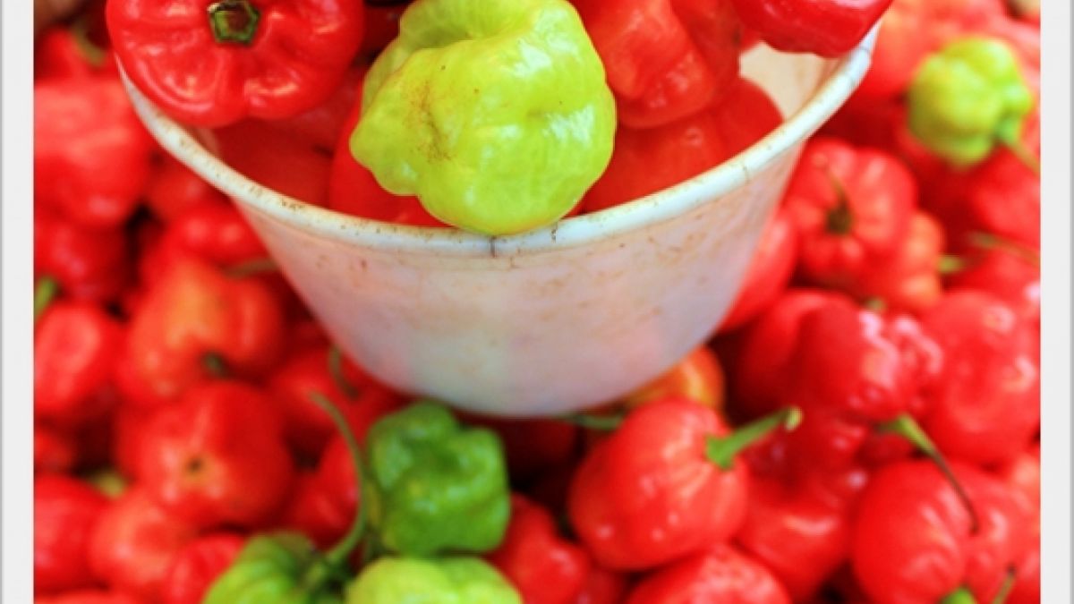 Cabai Toraja [Flickr.com]