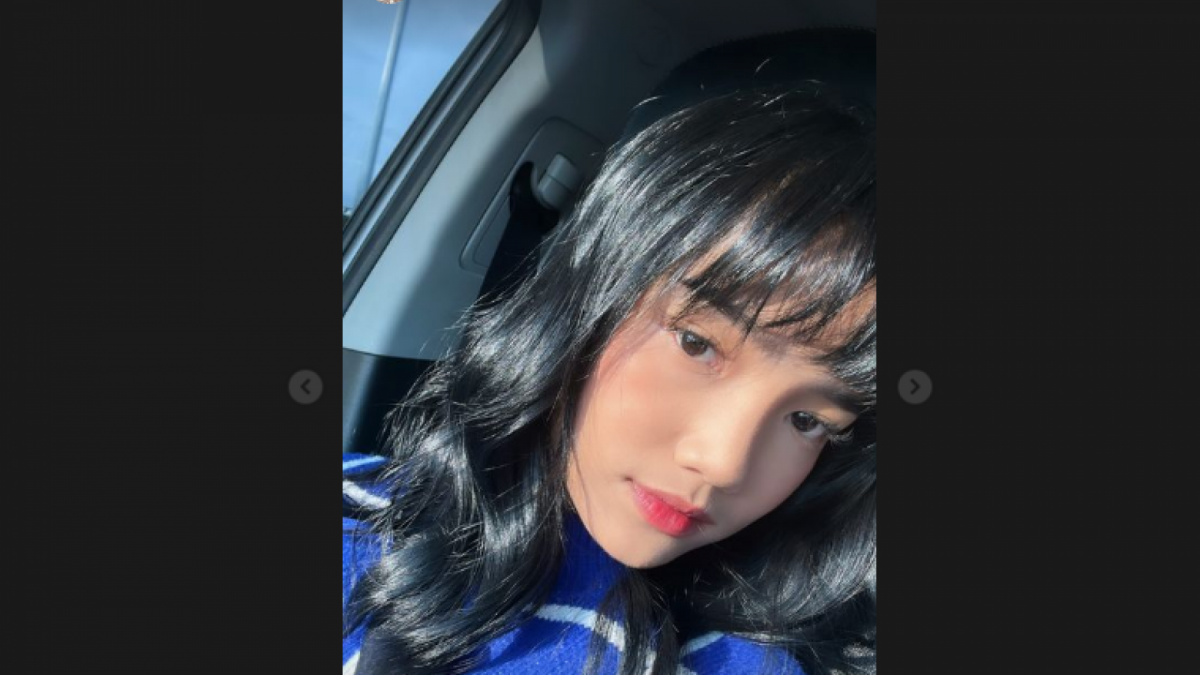 Instagram story Fuji [Instagram.com]