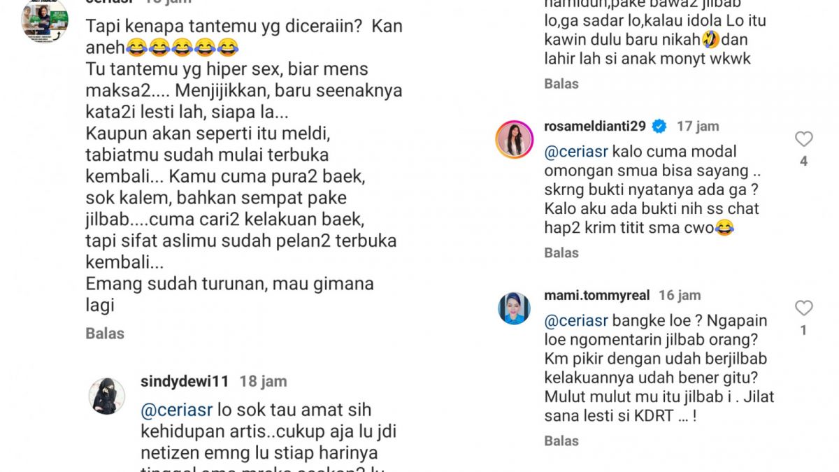 Rosa Meldianti kepada netizen [Kolom komentar IG/rosameldianti29]