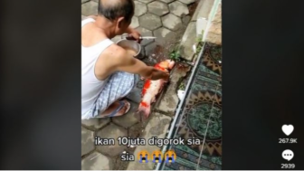 Dititipi Ikan Hias Mahal, Kakek Ini Malah Rugi