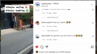 Kasian Tapi Ngakak! Pria Gondrong Ini Dikejar-kejar Kambing