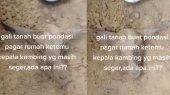 Mengerikan! Bangun Pondasi Rumah, Warga Ini Temukan Kepala Kambing