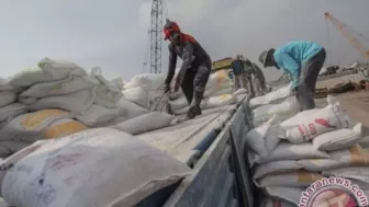 Harga Gandum Diprediksi Tak Akan Naik Karena Sudah Berada di Angka Tertinggi