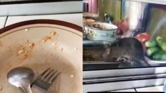 Nikmat Makan di Warteg Sampai Habis, Eh.. Ada Tikus Ikut Ngemil Depan Mata