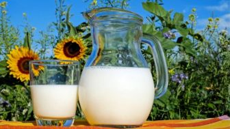 Susu Sapi Bisa Menurunkan Kesuburan Pria, Berikut Penjelasannya