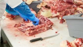 Ternyata Jeroan Sapi Ada Manfaatnya Loh Bagi Tubuh Kita!