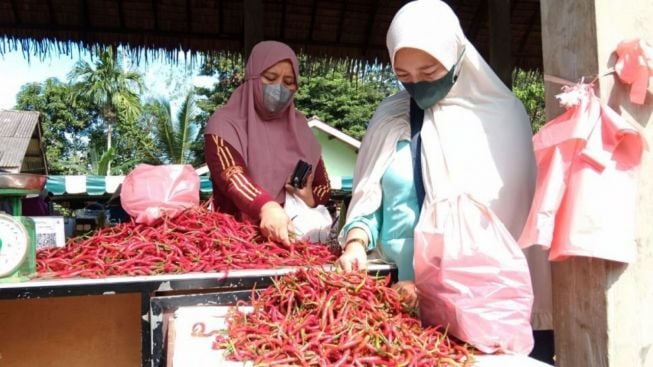 Pedagang Pasrah Harga Cabai Sudah Tembus Rp200 Ribu per Kg