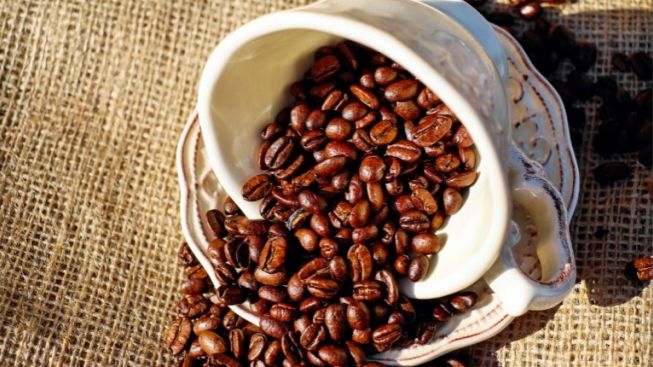 Begini Cara Asli Nikmati Cita Rasa Kopi yang Tepat