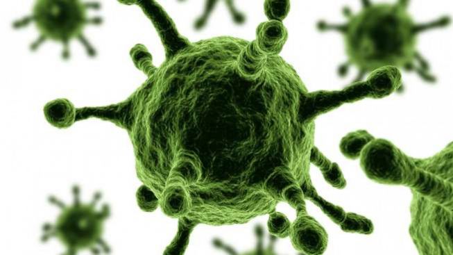 Fakta Seputar Virus Langya yang Infeksi 35 Orang di China
