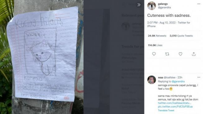 Viral! Bocah Ini Bikin Poster Menggemaskan Karena Sedih Kucingnya Hilang