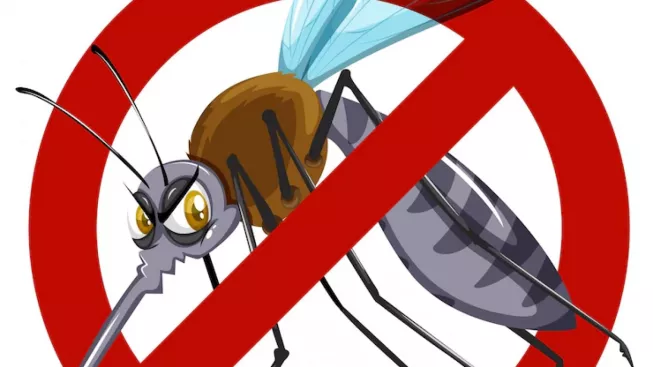 Serupa Tapi Tidak Sama, Ini Perbedaan Demam Berdarah dan Chikungunya!