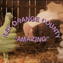 Lirik Lagu Amazing - Rex Orange County
