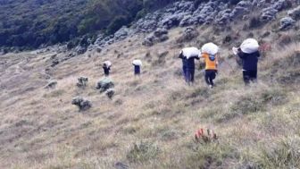 Hampir Setengah Ton Sampah Berserakan di Gunung Gede Pangrango, Ditemukan Banyak Celana Dalam