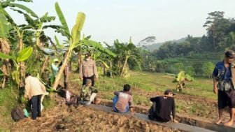 Polsek Darangdan Purwakarta Gencar Sosialisasi Prokes Hingga ke Area Sawah