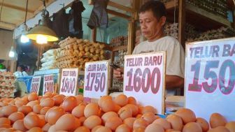 Ternyata Ini Penyebab Kenaikan Harga Telur di Pasaran