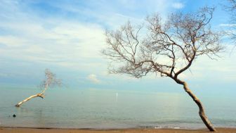 Tanjung Cirewang, Harapan Baru Wisata Pantai Berpasir di Subang