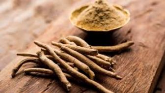 Mengenal Manfaat Ashwagandha, Ginseng India yang Baik Untuk kesehatan Tubuh