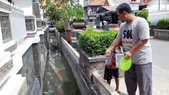 Unik, Warga Purwakarta Ini Ubah Selokan Jadi Kolam Ikan, Ini Tujuannya