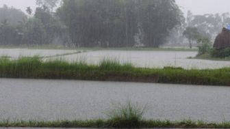 Prakiraan Cuaca Hari ini, Hujan Sepanjang Hari di Sebagian Wilayah Jawa Barat
