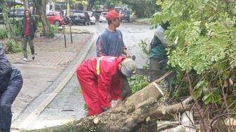 217 Peristiwa Pohon Tumbang Terjadi di Kota Bandung Selama Triwulan Ketiga Tahun 2022