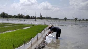 Lindungi Areal Lahan Pertanian Dari Alih Fungsi Lahan, Pemkab Purwakarta Terbitkan Perda Ini