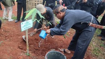 Arboretum Bambu Bakal Dibangun di Purwakarta, Ini Manfaatnya