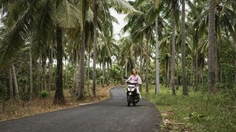 Pemprov Bali Larang Turis Asing Sewa Motor Usai Maraknya Turis Pelanggaran Lalin