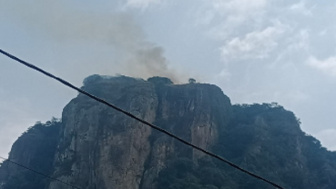 Monyet Ada Kaitannya Dengan Penyebab Kebakaran di Gunung Bongkok?, Begini Kronologinya