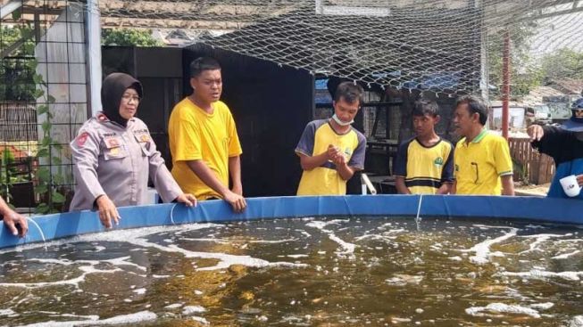 Budidaya Ulat Magot dan Olah Sampah Organik di Saung Kreatif Subang