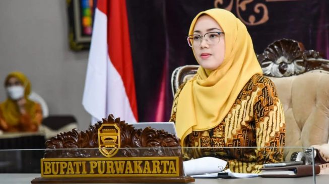 Bupati Purwakarta Anne Ratna Mustika Gugat Cerai Dedi Mulyadi, Satu Pria Dipilih Untuk Ini