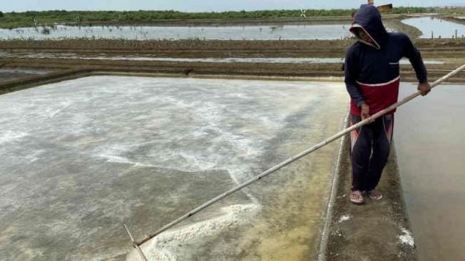 Gegara Cuaca Ekstrem, Petani Garam di Karawang Terpaksa Beralih Profesi Demi Dapur Ngebul