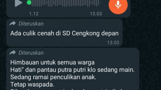 Warga Karawang Digegerkan Pesan Berantai Percobaan Penculikan Anak, Polisi Minta Warga Lakukan Ini