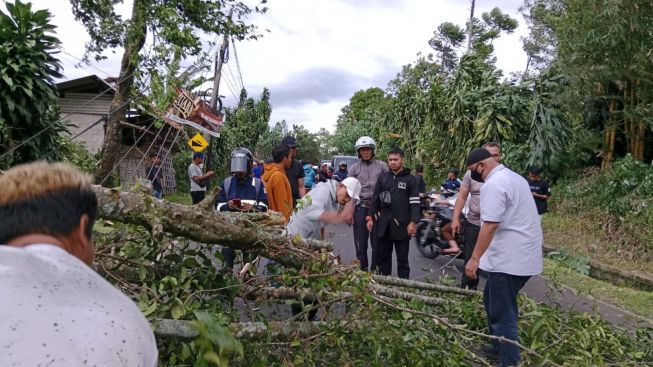 Pohon Tumbang Timpa Seorang Pengendara di Purwakarta