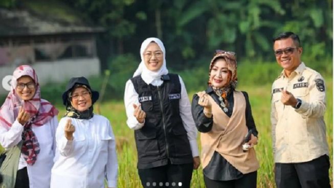 Antisipasi Dampak El Nino, Pemkab Purwakarta Sarankan Petani Tanam Ini