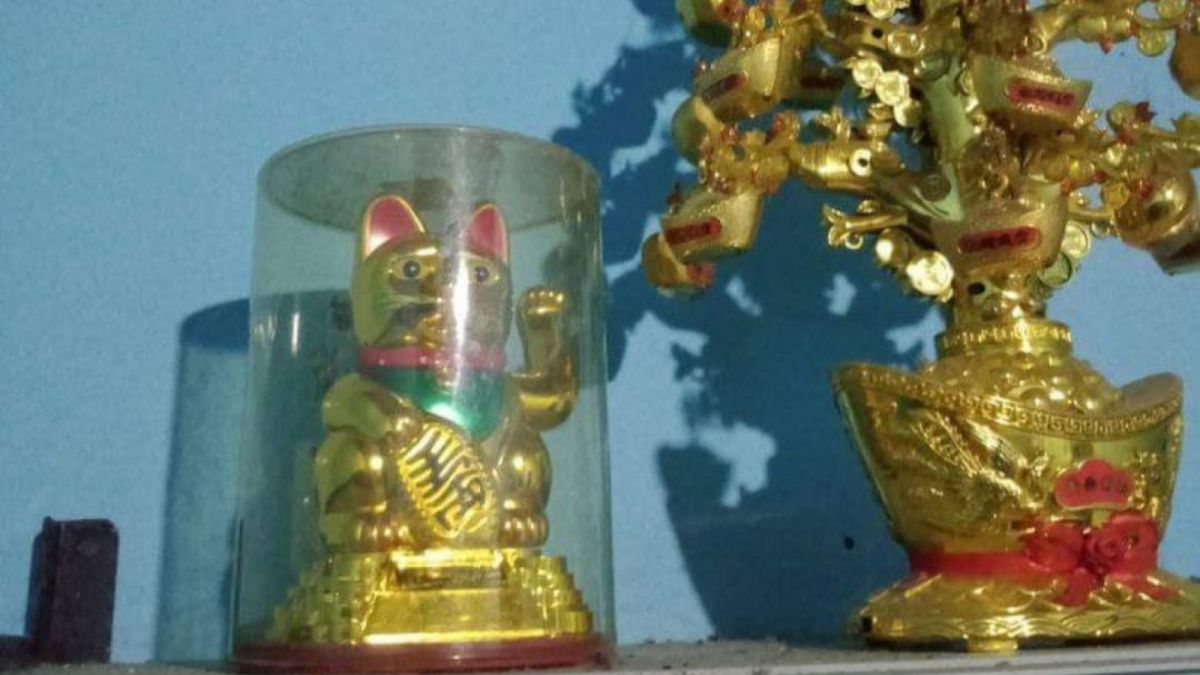 mainan kucing-kucingan netizen mirip punya dukun